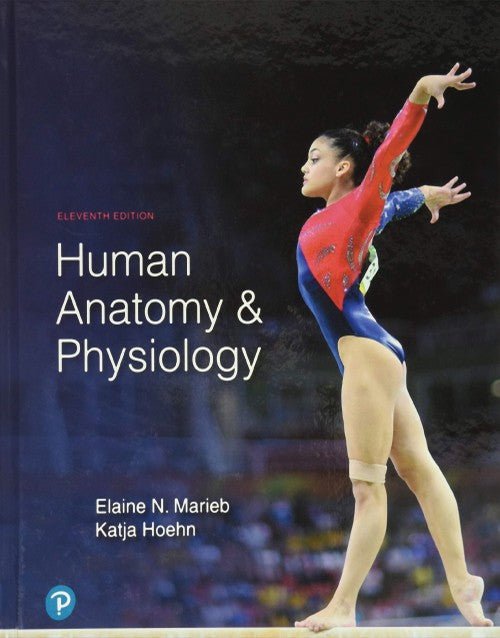 Cover of Human Anatomy & Physiology 11th Edition textbook featuring gymnast performing on balance beam